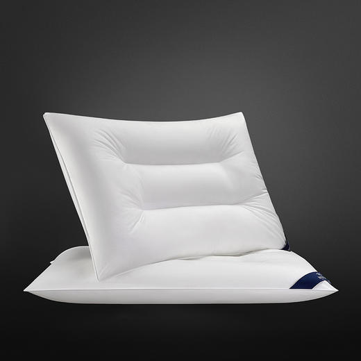 希尔顿尊享三防枕2.0丨睡眠管家联名防水防油防污 抗jun不易变黄 安心睡眠一整夜 商品图3