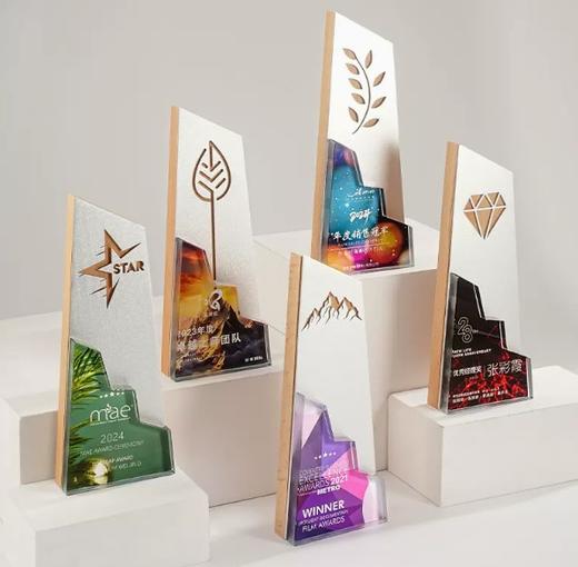 新款水晶奖杯定制木质奖牌创意金属山峰攀登企业定做荣誉纪念员工 商品图3