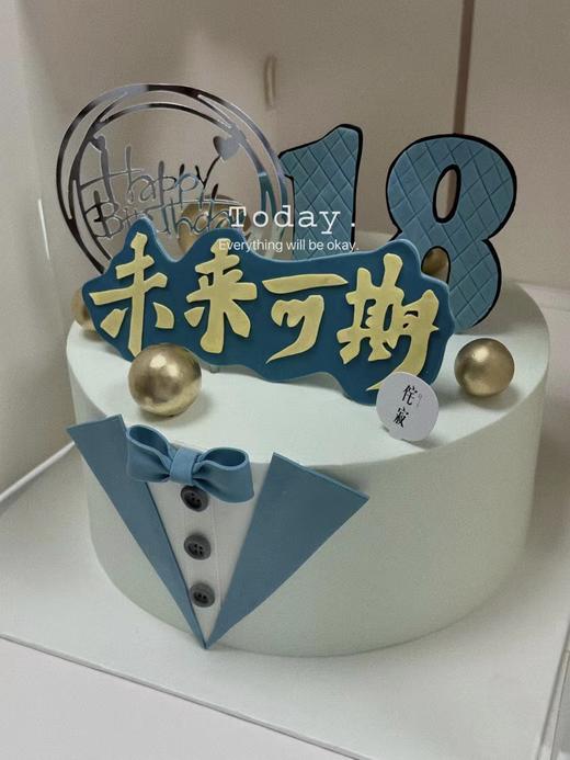 【客定】未来可期蛋糕0021（生日快乐插牌样式随机） 商品图0
