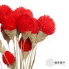 永生花材 | 单头千日红红色 商品缩略图3