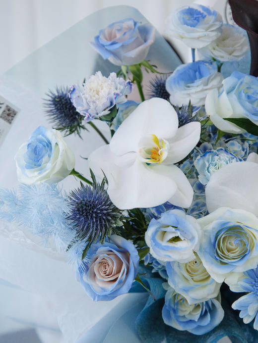 蓝调时刻 商品图2