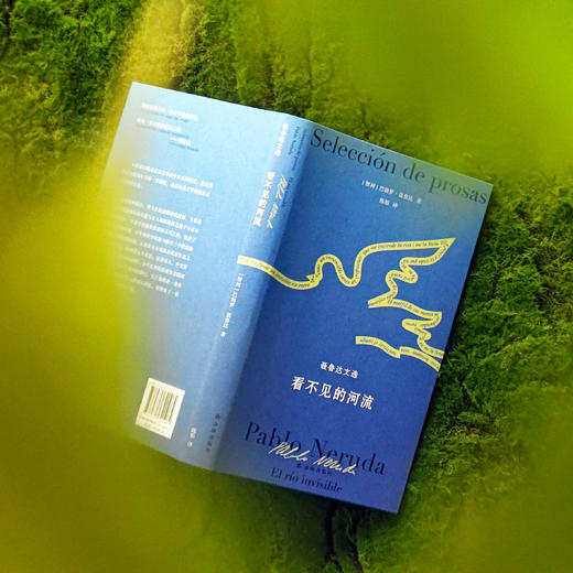 《聂鲁达诗文集》（全2册）：《在我热爱的世界上游荡：聂鲁达诗选》《看不见的河流：聂鲁达文选》 商品图13