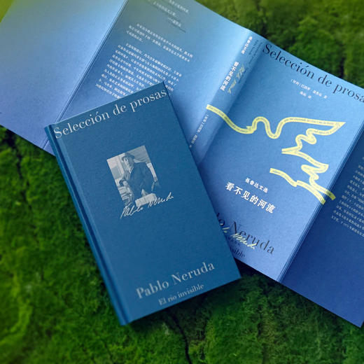 《聂鲁达诗文集》（全2册）：《在我热爱的世界上游荡：聂鲁达诗选》《看不见的河流：聂鲁达文选》 商品图10