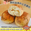【新鲜出“土”！土豆夹心面包】甄选新鲜食材 匠心制作！美味奶酪夹心 松软有料 香甜美味，细腻口感满足味蕾，早餐零食抗饿便携即食Y 商品缩略图1
