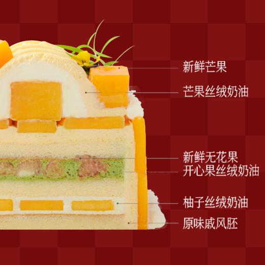 ⚜️黄金芒芒百宝箱 商品图1