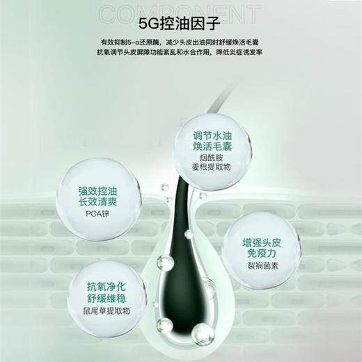 【专柜】博柔洗发水清爽控油蓬松头皮护理毛囊清洁控油洗发水男女持久去油600ml 商品图3