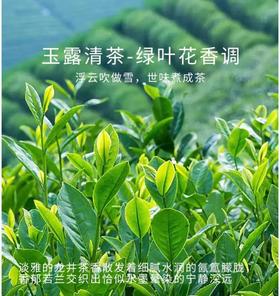 车用香氛片 玉露清茶