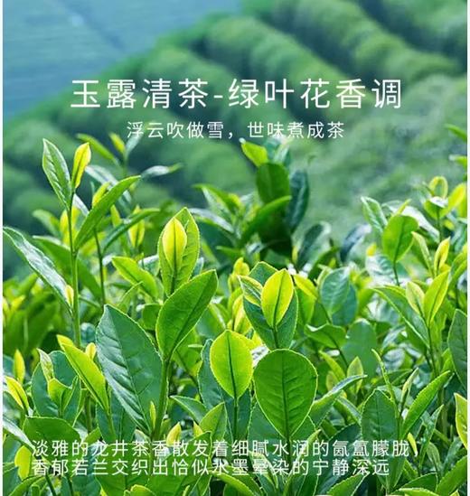 车用香氛片 玉露清茶 商品图0