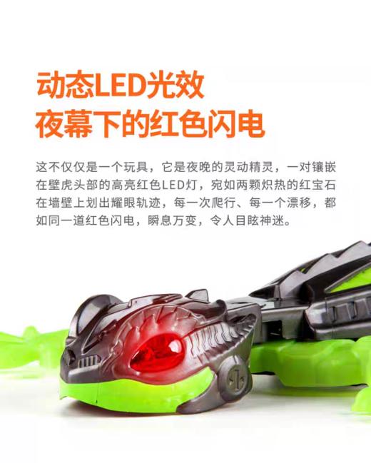 【5F】kidsland 赫宝机器虫爬墙壁虎 商品图5