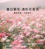 车用香氛片 春日繁花 商品缩略图0