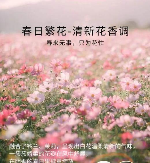 车用香氛片 春日繁花 商品图0