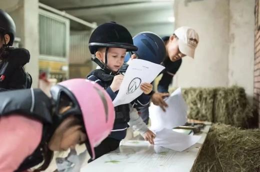 马术百科课堂 商品图1