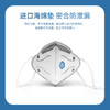 佳睦 防甲醛专用口罩双层活性炭口罩孕妇新办公室装修防二手烟异味防雾霾灰尘七层防护带呼吸阀独立包装5枚 100049086099 商品缩略图1