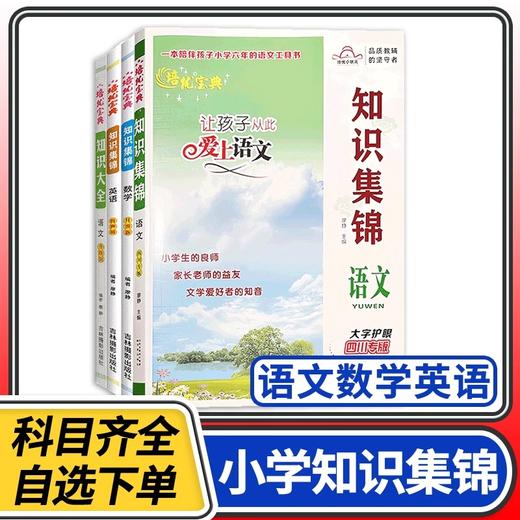 培优宝典知识集锦语文数学英语 四川全国小学知识大全四五六年级小升初知识大集结手册清单 商品图1