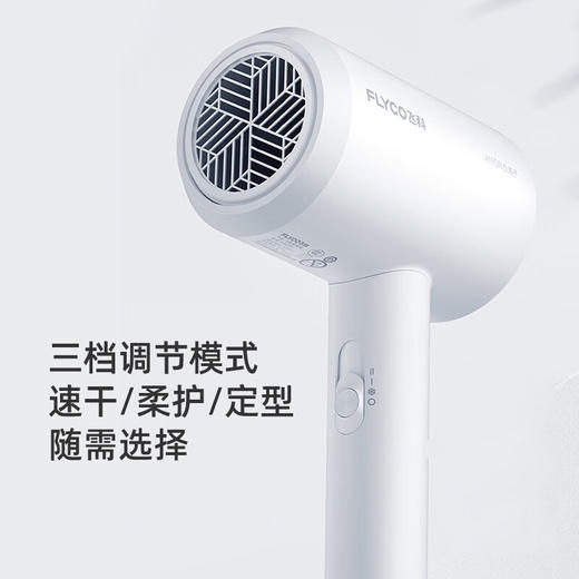 飞科 FLYCO 电吹风机宿舍用 柔风负离子恒温护发 家用冷热大风量快速干发吹风筒FH6290 1800W 商品图1