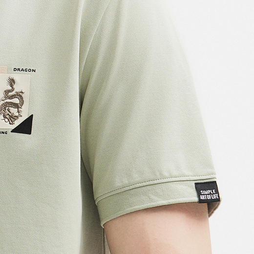 【新品上新】HX 春夏季休闲翻领短袖T恤Y102420168101POLO杉 商品图10