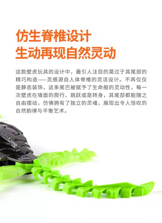 【5F】kidsland 赫宝机器虫爬墙壁虎 商品图7