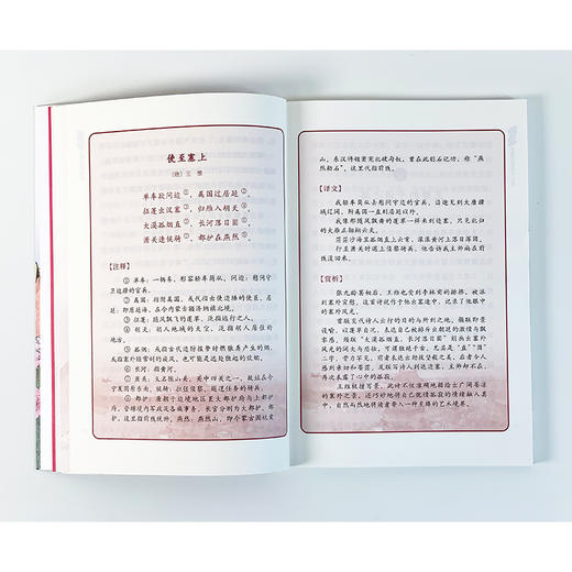 诗说唐朝三百年 4 盛世背影 商品图1