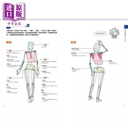【中商原版】理解人体解剖学完成超出色角色设计 港台艺术原版 Minimaru 瑞升出版 商品图4