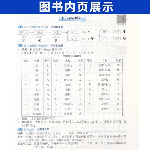 培优宝典知识集锦语文数学英语 四川全国小学知识大全四五六年级小升初知识大集结手册清单 商品图4
