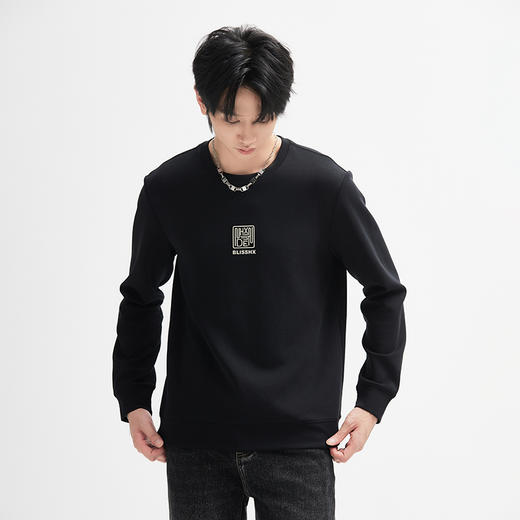 【断码清仓】HX 春秋季圆领卫衣空气层面料S106433020101/02 商品图4