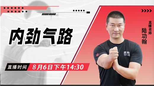 【8月6日】内劲气路 ——功夫课堂 商品图0