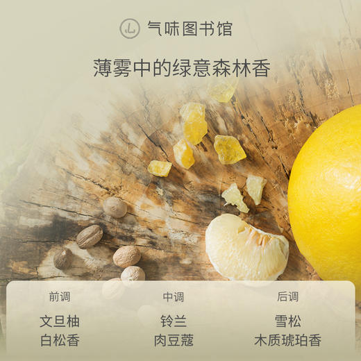 【木调香-雾光森林】气味图书馆雾光森林香水50ml 商品图1