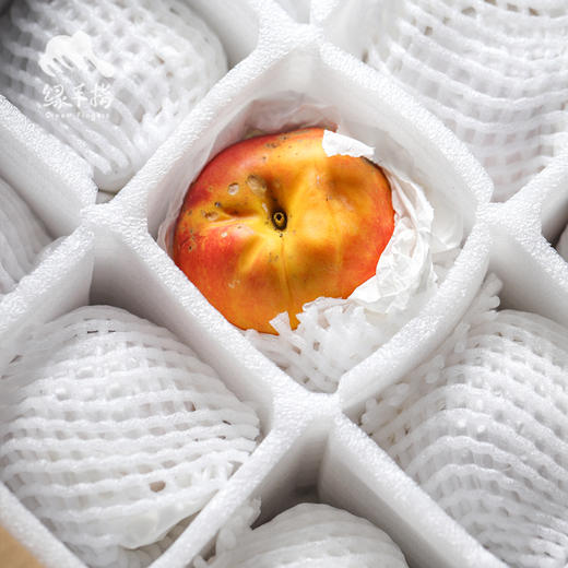 生态黄肉大油桃（中油8号） | 合作生产 *Eco-nectarine | Partner Production 商品图3