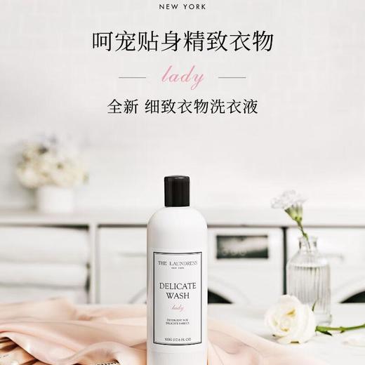 THE LAUNDRESS细致衣物洗衣液 500g/瓶 商品图0