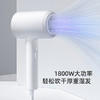 飞科 FLYCO 电吹风机宿舍用 柔风负离子恒温护发 家用冷热大风量快速干发吹风筒FH6290 1800W 商品缩略图2