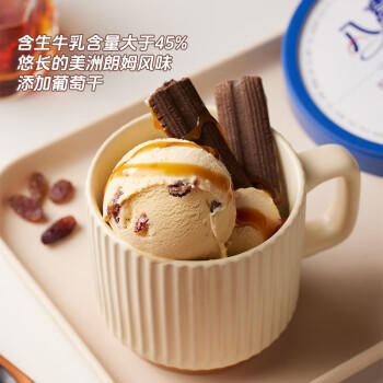 八喜 冰淇淋 雪糕 冰激凌 生牛乳 朗姆口味550g*1桶 家庭装 桶装 商品图1