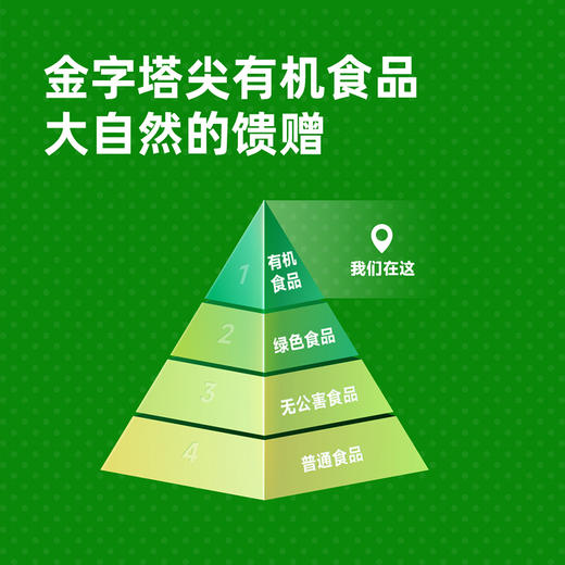 海天有机黄豆酱300g 怎么拌都好吃 挤挤装 商品图2