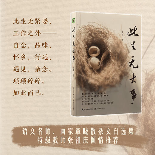 《此生无大事》 商品图2