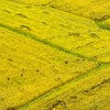 城乡互助·复兴一亩地 ——010大地公益 商品缩略图5