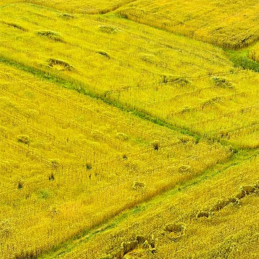 城乡互助·复兴一亩地 ——010大地公益 商品图5