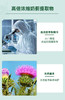 HB 荷柏瑞 奶蓟草胶囊 120粒（偏远地区不包邮） 商品缩略图2
