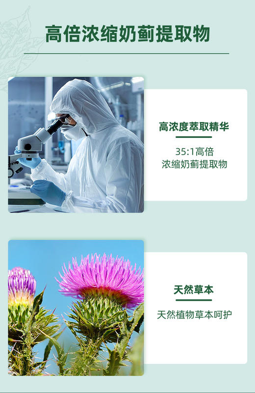 HB 荷柏瑞 奶蓟草胶囊 120粒（偏远地区不包邮） 商品图2