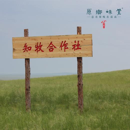 生态羊肝粉（基地直发-顺丰包邮 ）| 100g/罐，来自内蒙古自治区锡林郭勒盟，生产者：何梅【合作生产，公平贸易】 商品图6