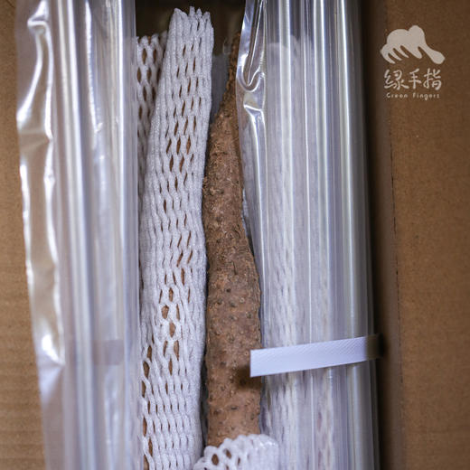 生态温县铁棍山药 | 合作生产*Eco-Iron yam | Coproduction 商品图5
