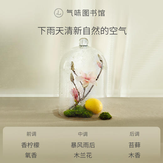 【水香调-听雨声】气味图书自然系列馆听雨声香水50ml 商品图2