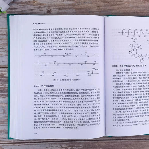 有机质谱解析导论 商品图5