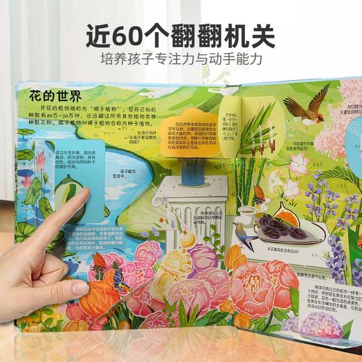 小眼睛看大世界翻翻书：揭秘植物 商品图3