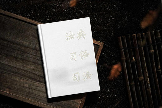 法典、习俗与司法实践：清代与民国的比较    黄宗智 著 大学问出品 商品图3