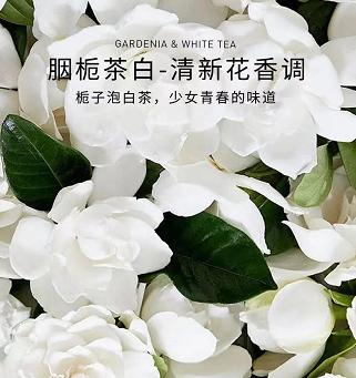 车用香氛片 胭栀茶白 商品图0