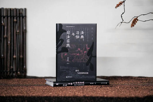 法典、习俗与司法实践：清代与民国的比较    黄宗智 著 大学问出品 商品图2