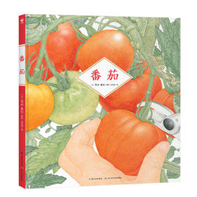 诺贝尔科学馆：番茄（精）(3岁+)