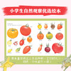 荒井真纪自然观察绘本：全3册（精）（3岁+） 商品缩略图3