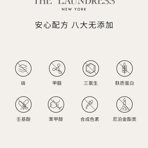 THE LAUNDRESS内衣洗衣液 500g/瓶 商品图2