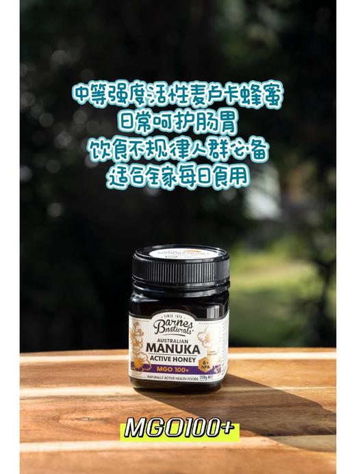 新增巴恩麦努卡蜂蜜 MGO300+ ！礼盒装送礼极好❗【🇦🇺澳洲进口Barnes Naturals巴恩天然蜂蜜】多款可选！全家老少的肠胃呵护专家！以蜜代糖！ 养胃润肠/润嗓润fei！ 商品图9