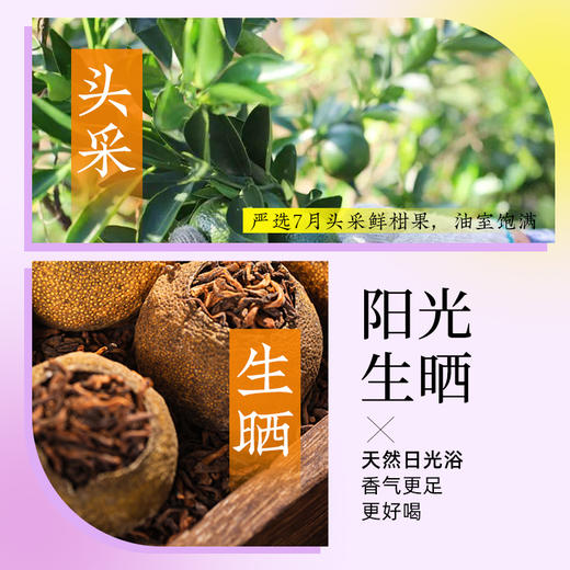 新会小青柑茶正宗生晒12年陈皮十年陈普洱熟茶正品柑橘茶 CM 商品图3